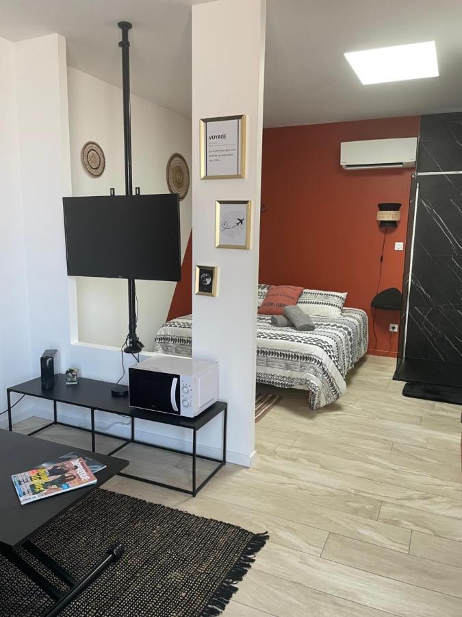 Studio Cosy tt confort proche aéroport Colombier-Saugnieu Esterno foto