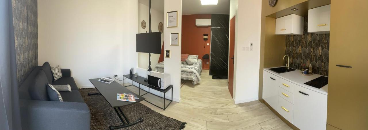 Studio Cosy tt confort proche aéroport Colombier-Saugnieu Esterno foto